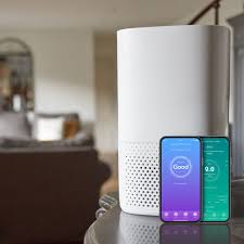 Vue 2